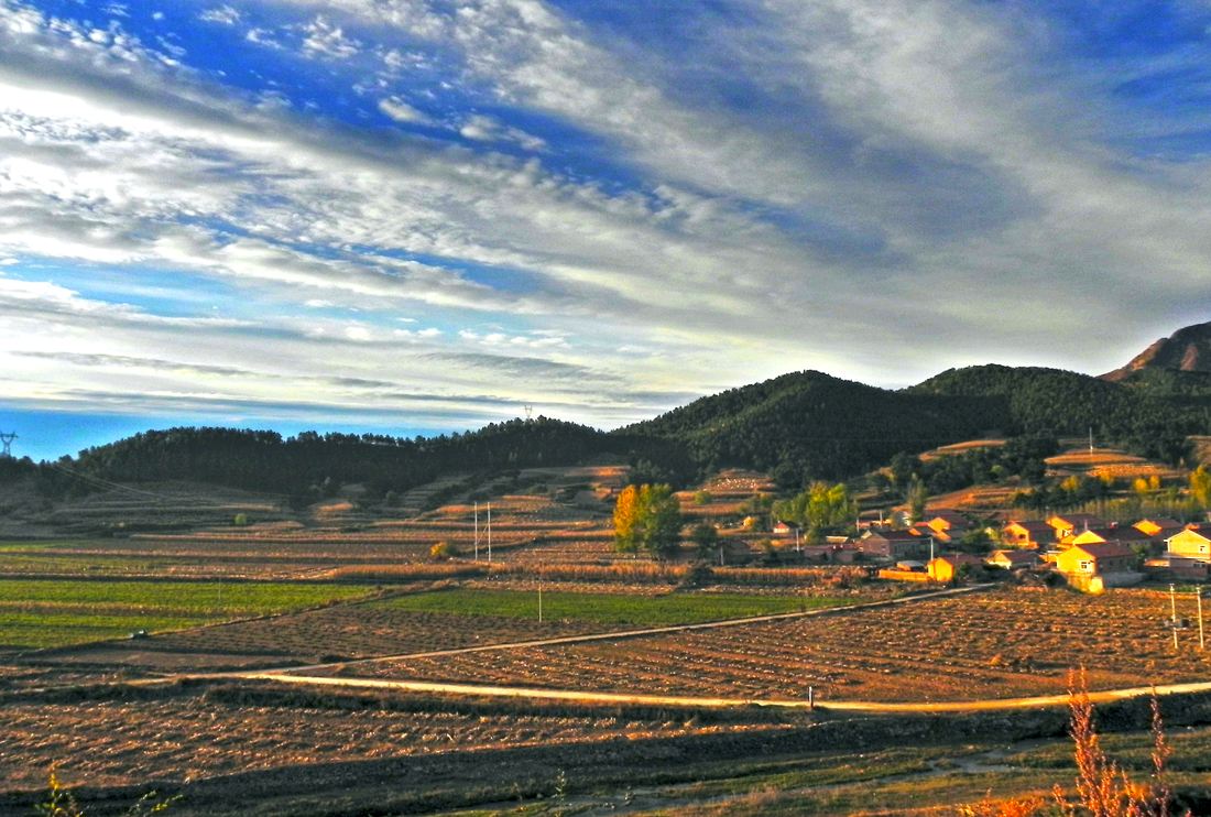 鄉(xiāng)村振興