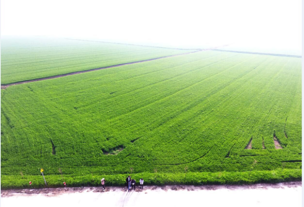 《安徽阜陽花仙谷生態(tài)樂園》項(xiàng)目正式啟動(dòng)