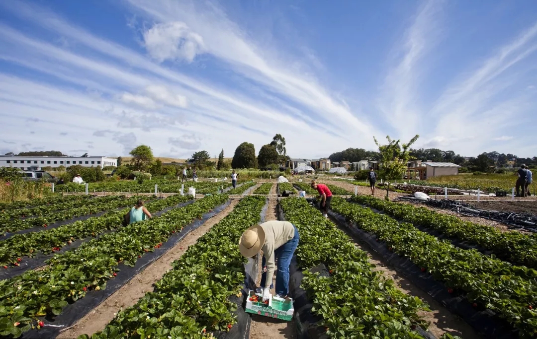 城鄉(xiāng)規(guī)劃師