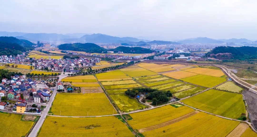 1551770849410286.jpg 10.webp.jpg